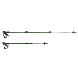 Hilleberg Wanderstöcke (2 pcs.) green